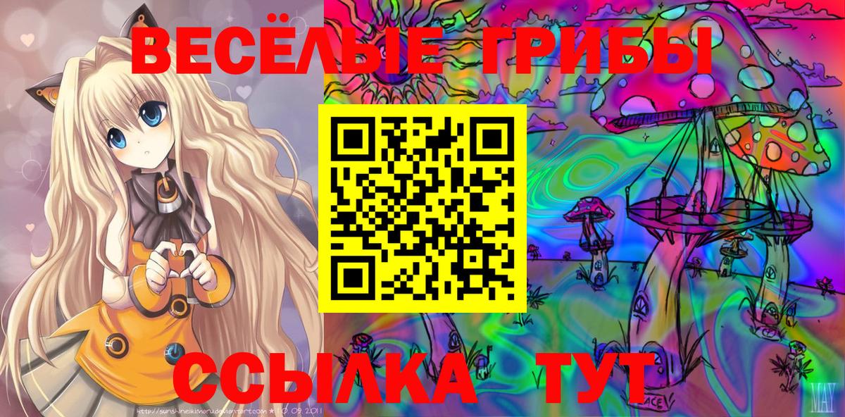 Галлюциногенные грибы Cubensis  Псилоцибиновые грибы ЛСД  Вход с VPN  Глазов 