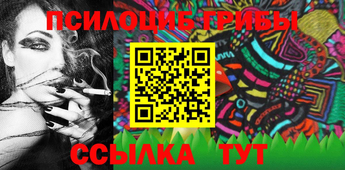 Псилоцибиновые грибы Cubensis Глазов